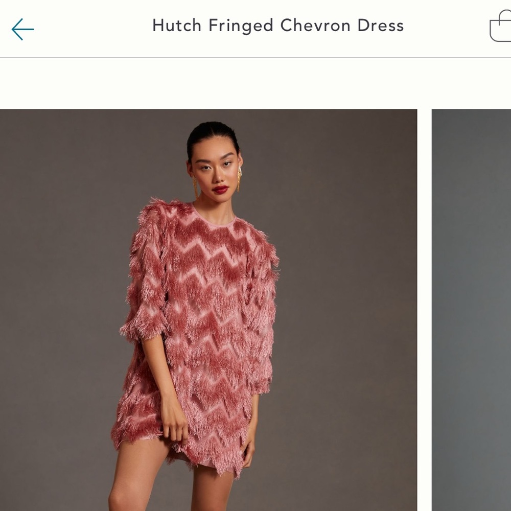 COPY - Hutch Pink Fringe Mini Dress